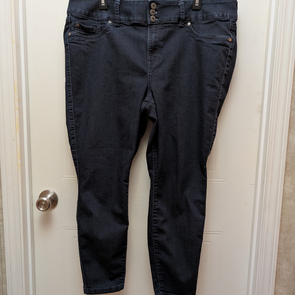 Torrid 20S Dark Blue Jeggings